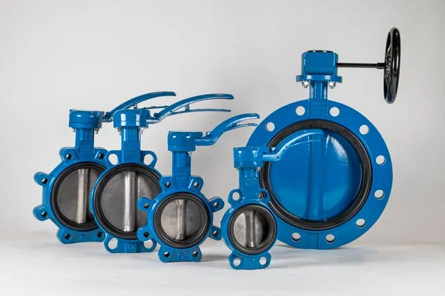 Butterfly Valve Family